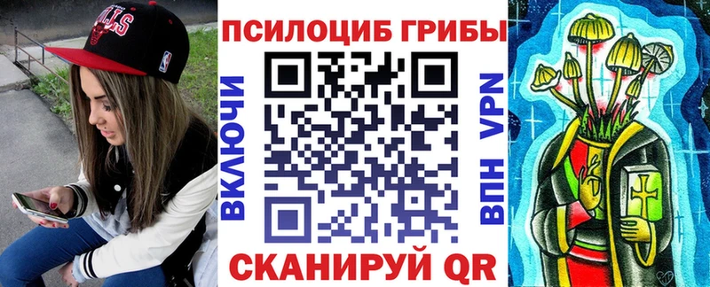 Псилоцибиновые грибы Cubensis  гидра   Исилькуль 